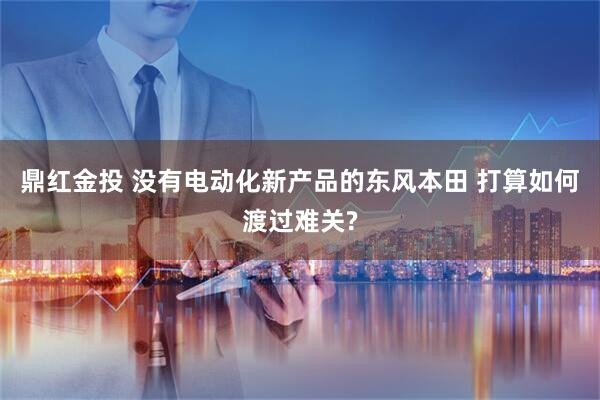 鼎红金投 没有电动化新产品的东风本田 打算如何渡过难关?